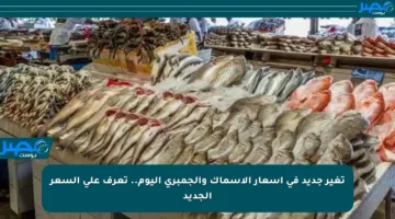 تغير جديد في أسعار الأسماك والجمبري اليوم.. تعرف على السعر الجديد
